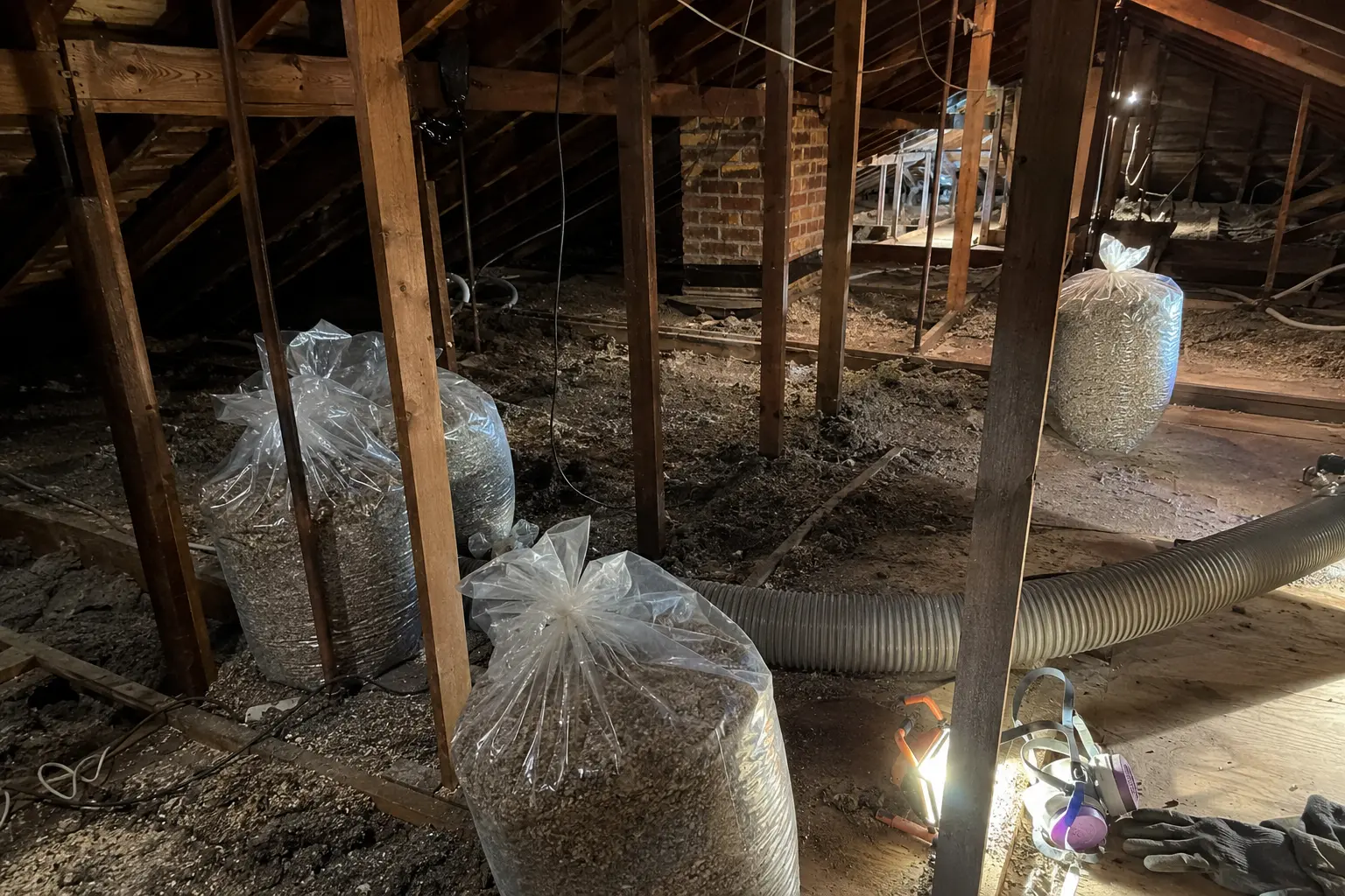 Insulation cleanup and removal